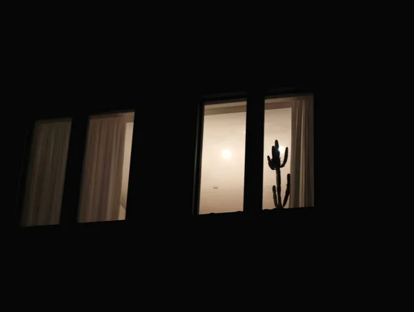 Ventana iluminada con cactus sobre fondo de pared negro — Foto de Stock