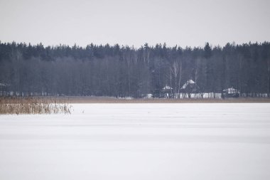 Frozen lake near forest with houses on a hill