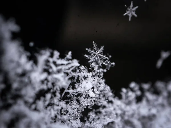 黒いガラスの背景に雪片のマクロショット — ストック写真