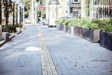 Kurumuş sonbahar yapraklarıyla döşenmiş kaldırım güneşli bir günde yalancı beyaz plastik alışveriş torbası ile kentsel cadde