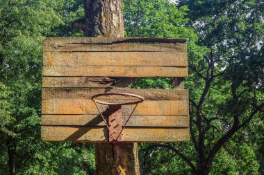 Eski paslı metal basketbol ringi. Sepeti yok. Ağaç yaprakları üzerinde tahta tahtada asılı.
