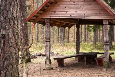 İlkbaharda ormandaki ağaçların arasında duran sıraları ve masaları olan ahşap bir çadır.