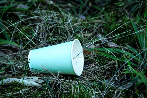 Kaffeetasse aus recyceltem Papier liegt im Wald auf Gras — Stockfoto