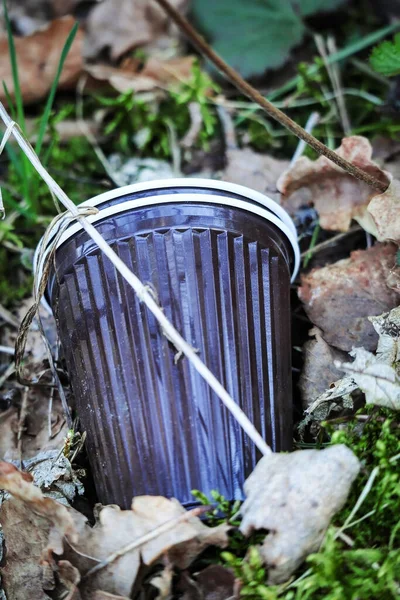 검은 플라스틱 커피 잔 두 개 가 숲에 남아 있고 마른 잎 과푸른 풀 이 지면에 깔려 있다 — 스톡 사진