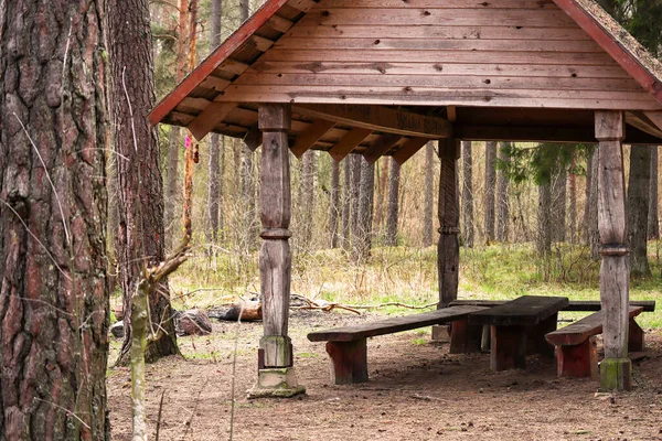 İlkbaharda ormandaki ağaçların arasında duran sıraları ve masaları olan ahşap bir çadır.