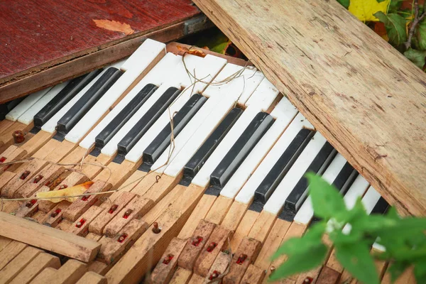 A broken musical instrument piano keys in a trash pile in grass outdoors