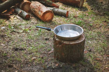 Steel frying pan standing on tree log on grass with visible cut tree trunks logs on the background