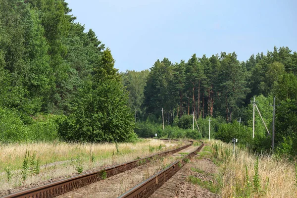 Railway Turns Corner Forest Dry Yellow Grass Hot Summer Day — Foto Stock