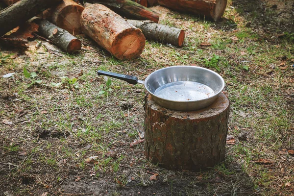 Steel Frying Pan Standing Tree Log Grass Visible Cut Tree — 스톡 사진