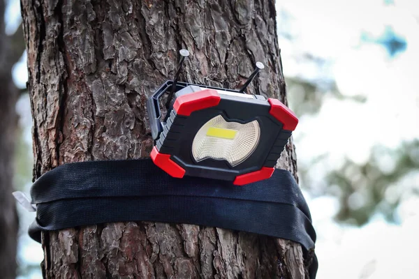 Hiker flash light lamp tied to a tree trunk in forest with white blurry sky background