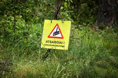 Visaginas, Lithuania - 08 16 2022: Forest cutting sign with red triangle warning hanging on branch in summer forest in green tall grass