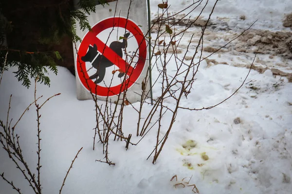 Μια Στρογγυλή Κόκκινη Πινακίδα Που Απαγορεύει Περπάτημα Σκυλιών Στην Περιοχή — Φωτογραφία Αρχείου