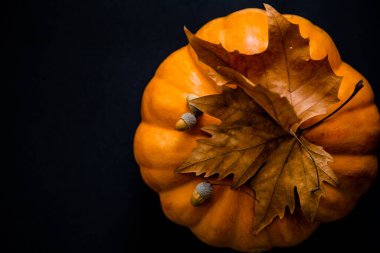 Siyah arka planda yaprakları ve meşe palamudu olan bir portakal kabağı..