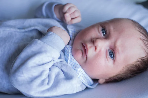 Un bebé recién nacido con los ojos azules apretando los puños y tomando una pose de boxeo se encuentra en un traje gris con un collar a cuadros sobre un fondo blanco. — Foto de Stock
