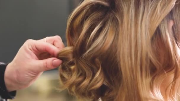 Μια μπούκλα στο κεφάλι ενός κοριτσιού με καστανά μαλλιά διορθώνεται από έναν κομμωτή, ψεκάζει με βερνίκι και χτενίζει με μια χτένα σε γκρι φόντο. — Αρχείο Βίντεο