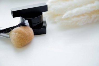 Ruj, fırça ve allık, beyaz arka planda kabarık bir baston dalının yanında yan yana yatar.