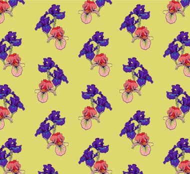 vektör süs çiçek iris