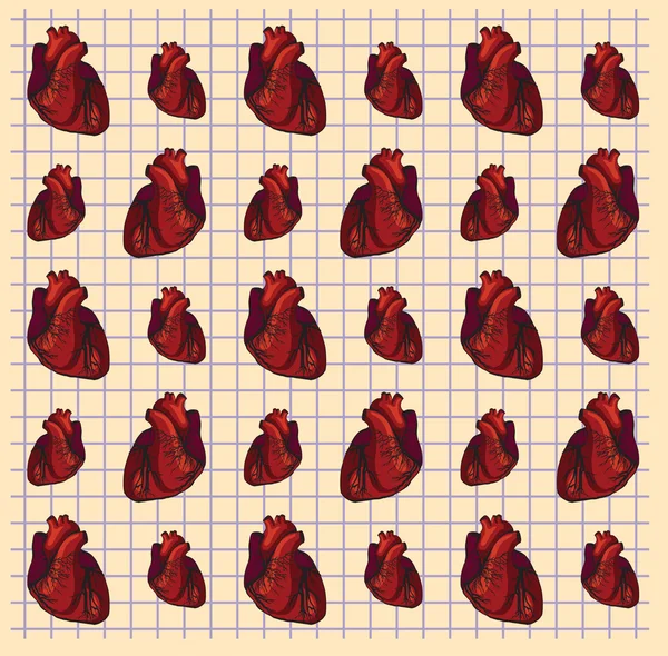 Векторное рисование сердец, анатомическое — стоковый вектор
