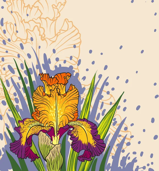 Vetor desenhos decorativos de flores da íris —  Vetores de Stock