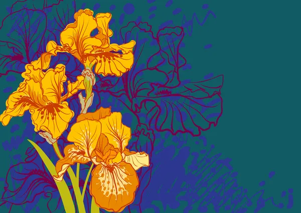 Vector decorative designs of iris flowers — Stock Vector