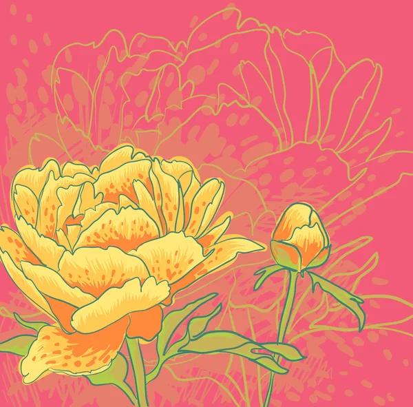 ベクトル装飾イメージ牡丹の花 — ストックベクタ