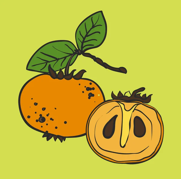 Persimmon — Vector de stoc