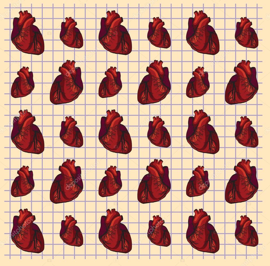 Wektor Rysunek Serca Anatomiczne Grafika Wektorowa
