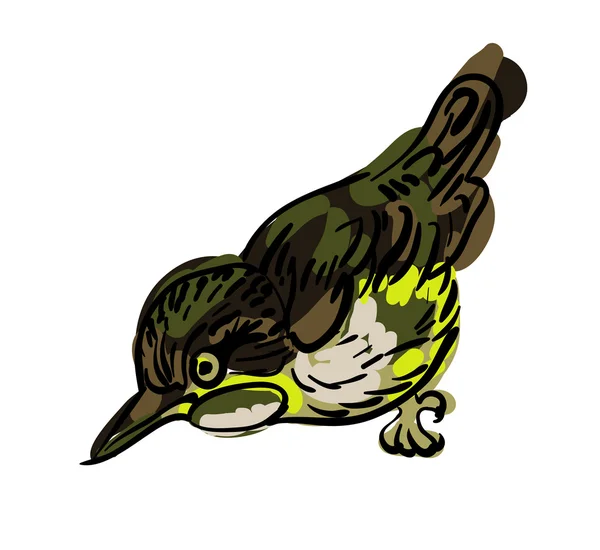 Vector drawing of the bird — Stock Vector