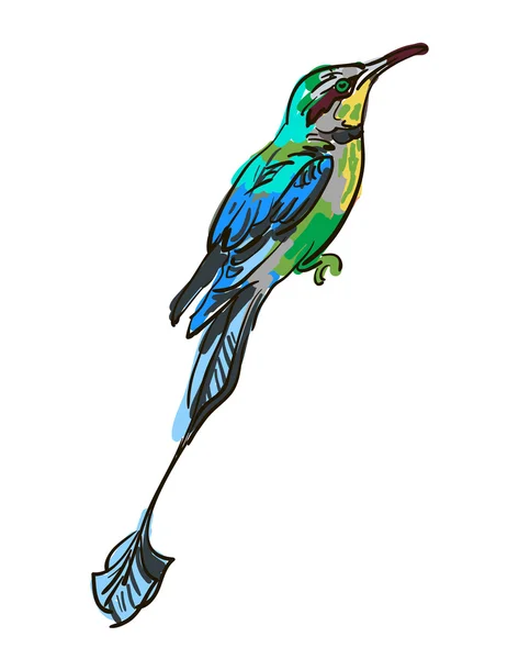 Vektorová kresba ptáka — Stockový vektor