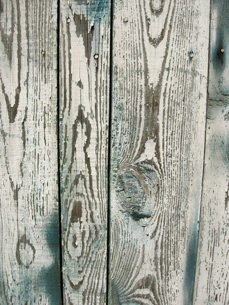 Extura de árbol viejo cubierto con pintura despojada —  Fotos de Stock