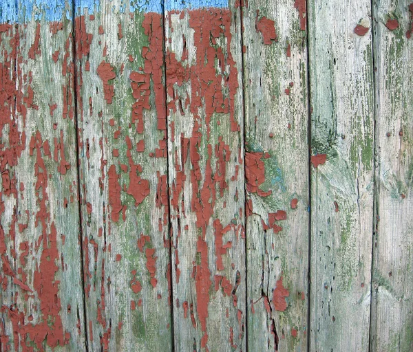 Extura de árbol viejo cubierto con pintura despojada —  Fotos de Stock