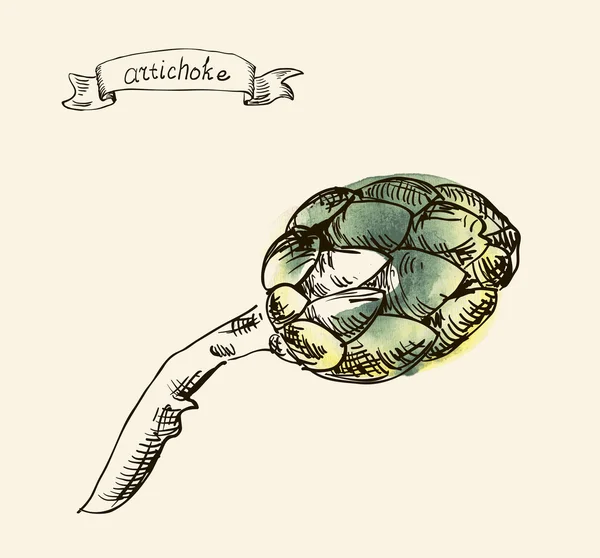 Hand drawn illustration of artichoke — Stock Vector