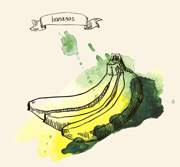 Ilustración dibujada a mano del plátano — Vector de stock