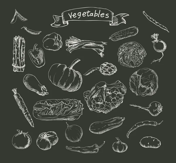 Ilustración vectorial de un conjunto de verduras pintadas a mano — Vector de stock