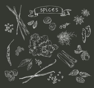 çizilmiş baharat el