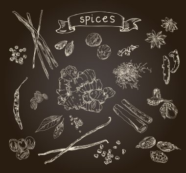 Hand drawn spices clipart