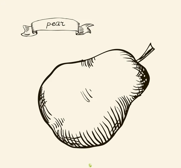 Hand drawn illustration of pear — Stock Vector