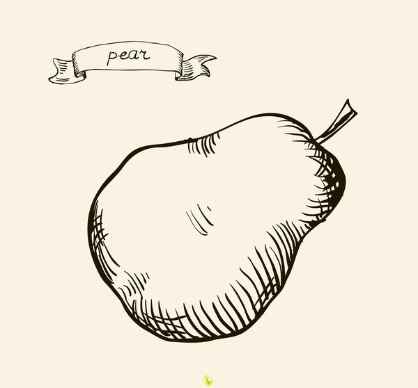 Illustration de poire dessinée à la main — Image vectorielle