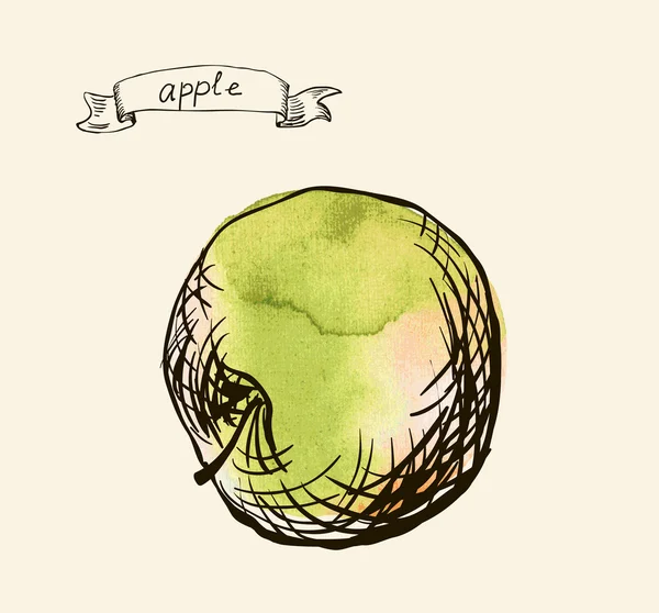 水彩手绘复古插画的苹果 — 图库矢量图片