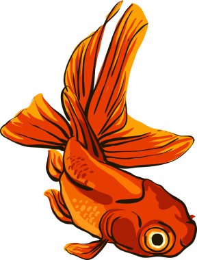 koi balıkları ile parlak vektör çizim