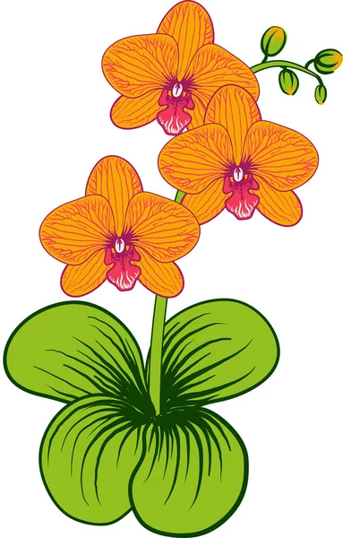 Lindo fondo floral — Archivo Imágenes Vectoriales
