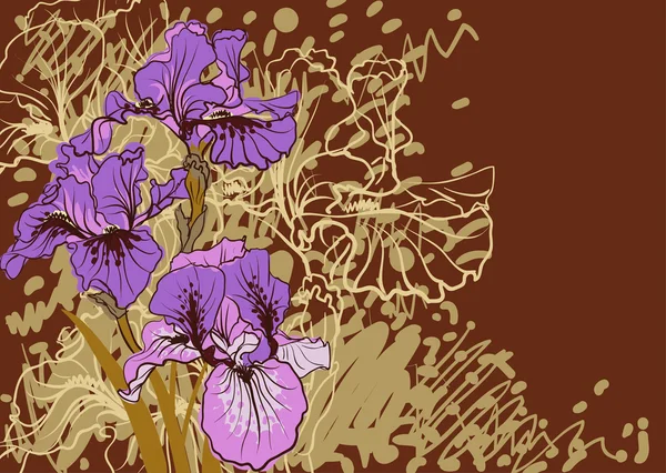 Disegni decorativi vettoriali di fiori di iris — Vettoriale Stock