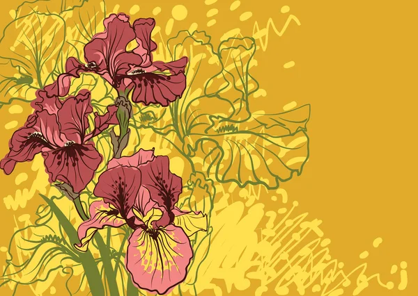 Disegni decorativi vettoriali di fiori di iris — Vettoriale Stock