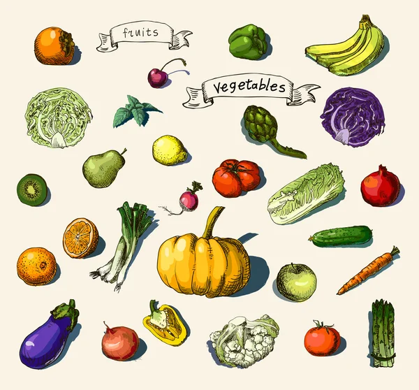 Ilustração vetorial de um conjunto de vegetais pintados à mão, frutas — Vetor de Stock