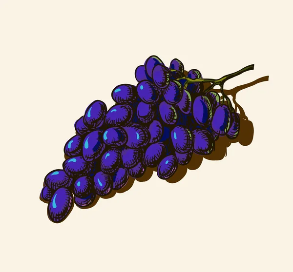 Uvas — Vetor de Stock