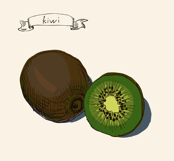 Kiwi cortado y kiwi entero — Archivo Imágenes Vectoriales