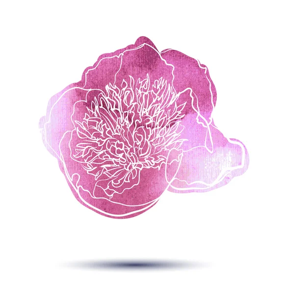 Pivoine fleur — Image vectorielle