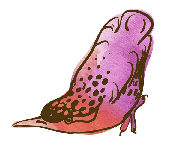 Vector sketch of bird, watercolor — Stock Vector