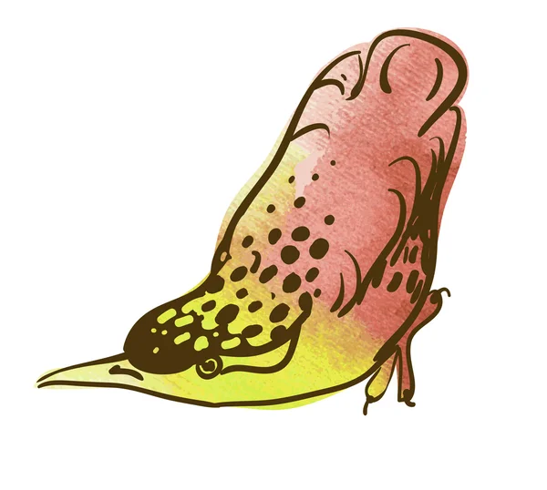 Vector sketch of bird, watercolor — Stock Vector