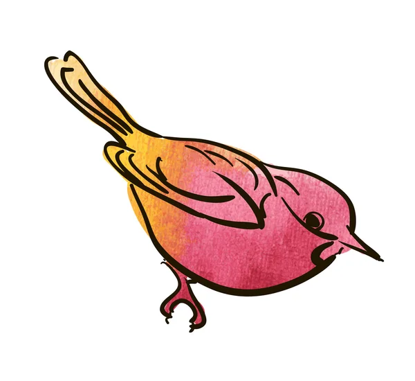 Boceto vectorial de pájaro, acuarela — Archivo Imágenes Vectoriales